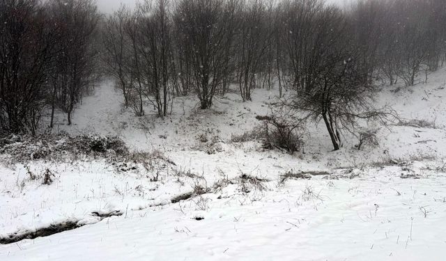Ganos Dağı’nda Kış Manzarası: Kar Kalınlığı 10 Santimetreyi Buldu