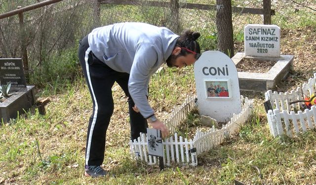 Türkiye’nin İlk Evcil Hayvan Mezarlığında Bayram Ziyareti
