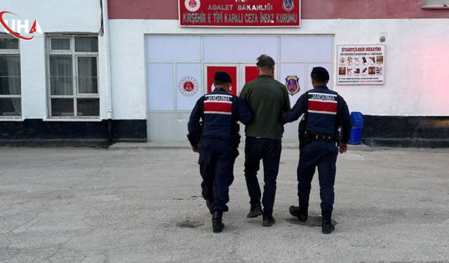 Kaman'da Canilik Cezasız Kalmadı: Köpeği Tüfekle Öldüren Şahıs Tutuklandı