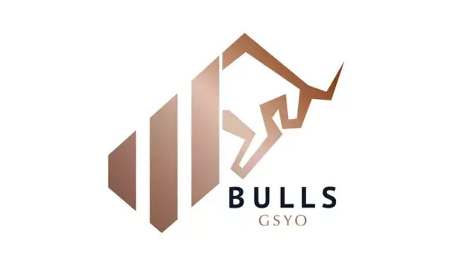 Bulls GSYO Bin Ulaşım'daki Payını Artırdı