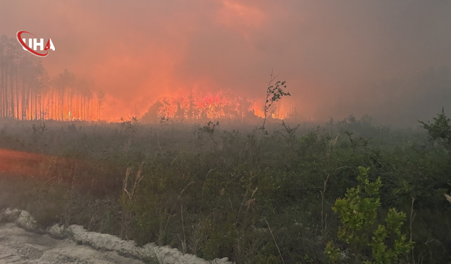 ABD'de Orman Yangını Felaketi: 120'den Fazla Ev Kül Oldu