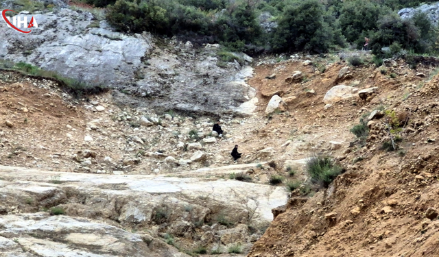 Isparta'da Kayalıklarda Mahsur Kalan 2 Çocuk Kurtarıldı