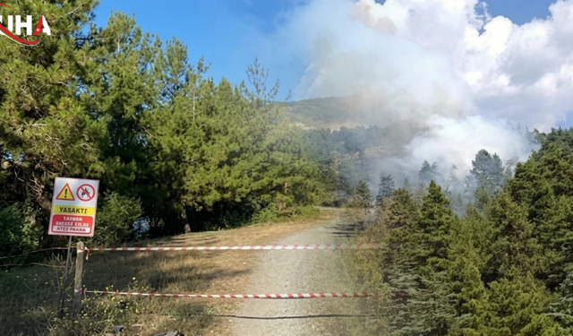 Ankara'da Ormanlara Giriş 1 Haziran'dan İtibaren Yasak
