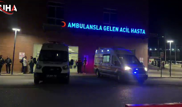 Hamilelikte Yapay Zeka Kullanımının Gizli Tehlikeleri