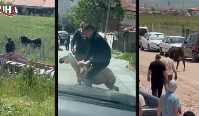Ankara'da Bayramın İlk Günü Hareketli Anlar Yaşandı