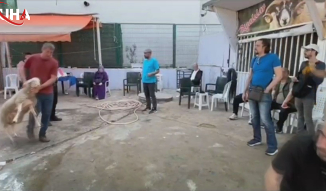 Küçükçekmece Emniyetinden Bayram Operasyonu