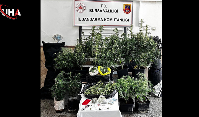 Yasaklı Madde Serasına Dönüştürülen Eve Baskın