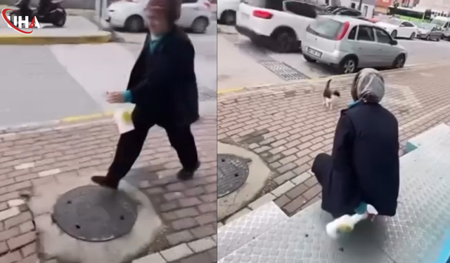 "Gel Annem Gel" Diyerek Çağırdığı Kedinin Yüzüne Kimyasal Sıktı