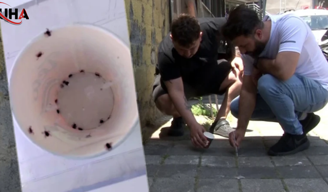 Mevsimsel Sıcaklıklarla Birlikte Kene Yoğunluğu Arttı