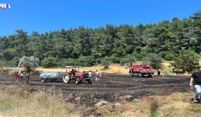 Çanakkale'de Orman Yangını: 60 Dönümlük Arazi Küle Döndü