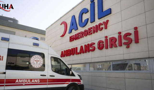 Ordu Kumru'da Yolcu Minibüsü Devrildi: 9 Yaralı