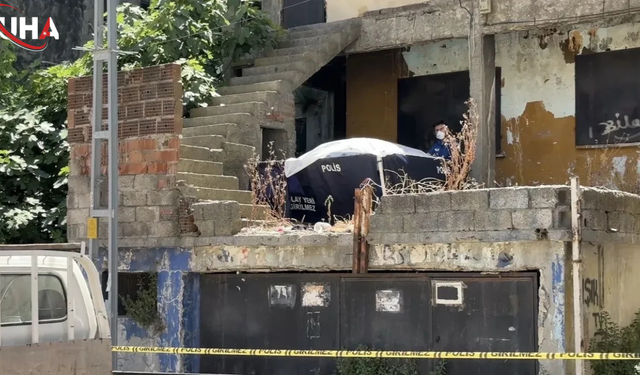 Kayıp Kedisini Ararken Korkunç Manzarayla Yüzleşti