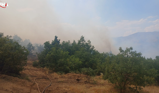 Malatya'nın Pütürge İlçesinde Orman Yangını