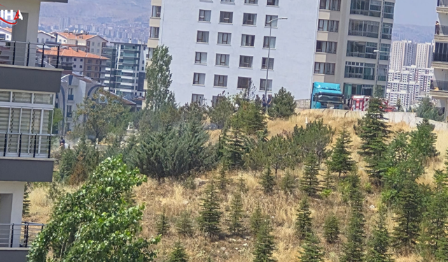 Mamak'ta Kuru Otlar Yandı: Mahalleli Tepkili