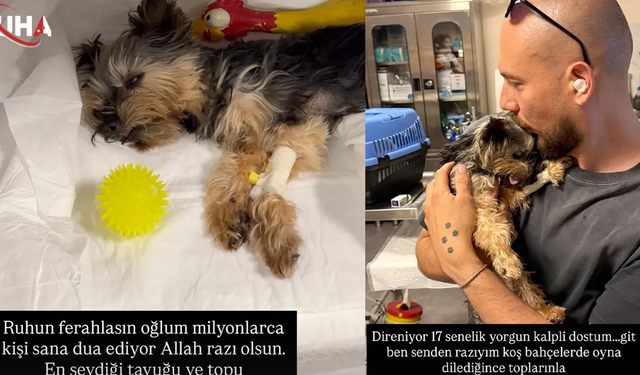 Cem Özkök'ten Yürek Burkan Paylaşım: Köpeği Hastalandı