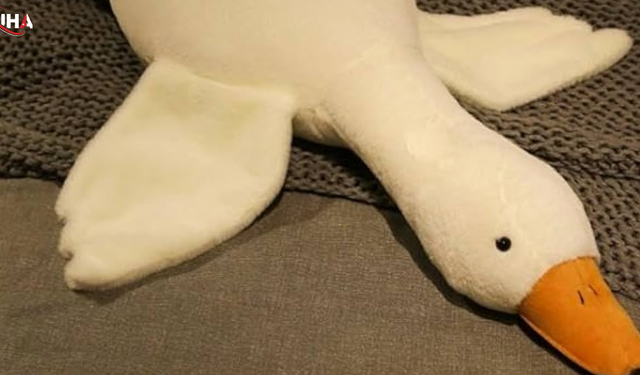 Popüler Peluş Kaz Oyuncağı İçin Toplatma Kararı