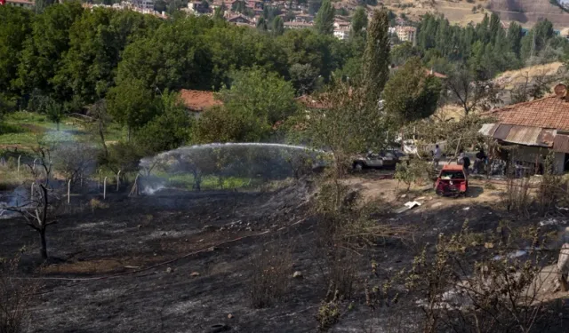 Ankara'da Otluk Alanda Çıkan Yangın Söndürüldü