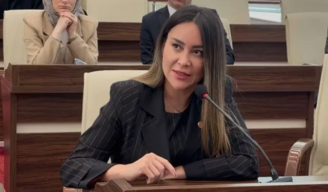 CHP'li Belediye Meclis Üyesi 'Azmettiricilik' Suçlamasıyla Tutuklandı! 'Şapkalılar' Suç Örgütüyle İlişki İddiası