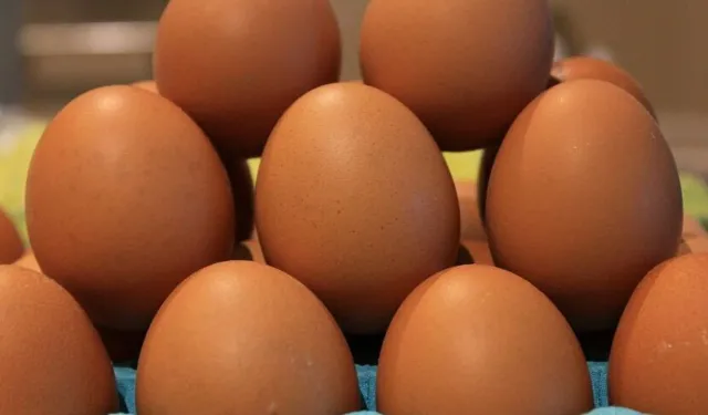 Marketlerde Salmonella Alarmı! O Yumurtalar İçin “Sakın Yemeyin” Uyarısı