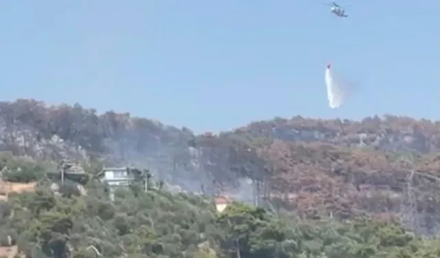 Fethiye'de Orman Yangını Alarmı
