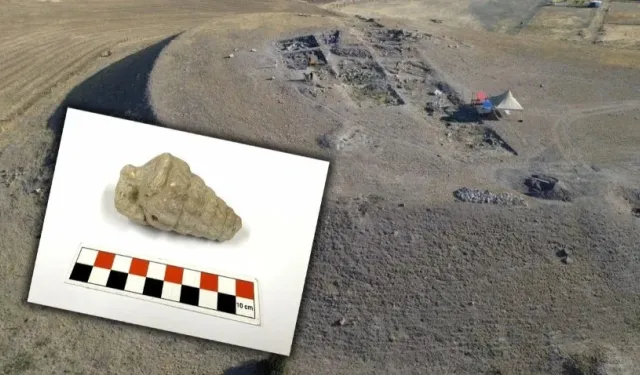 Ankara’nın Altından Deniz Çıktı! 66 Milyon Yıllık İz