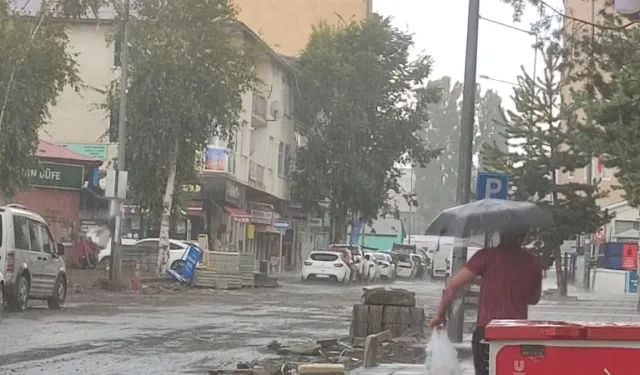 Ardahan'da Dolu Yağışı Etkili Oldu
