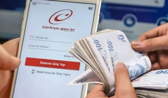 e-Devlet’te Bu Harfleri Görenler Dikkat! Emekli Maaşını Riske Atabilir
