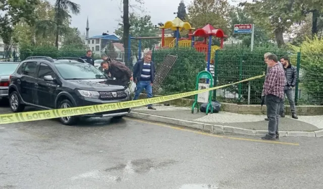 Sakarya'da Kardeşini Vurdu