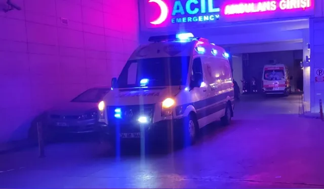 Siirt'te Sulama Havuzuna Giren Kardeşlerden Biri Öldü