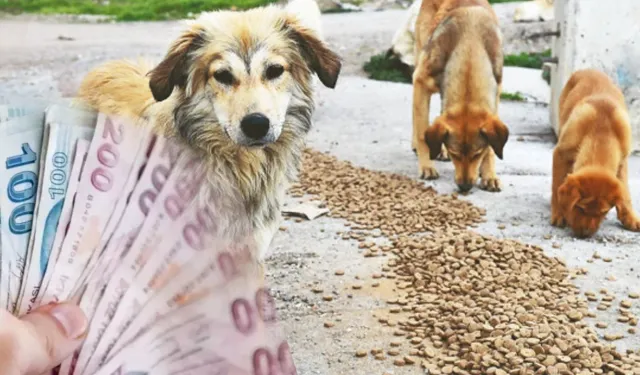 Milyonluk Cezalar Ve Tutuklamalar Var