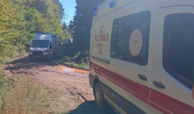 Sakarya'da Dedenin Öldüğü Traktör Kazasında Torunu İse Yaralandı