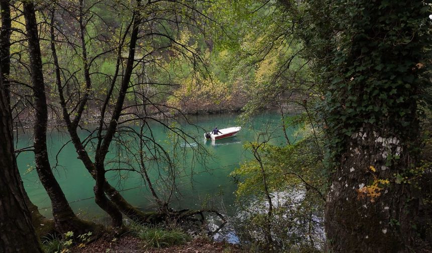 Sığla ormanları ilgi görmeye başladı! Dünya'da yalnızca 2 tane