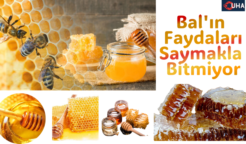 Doğal Şifa Kaynağı: Balın Sağlığa Faydaları