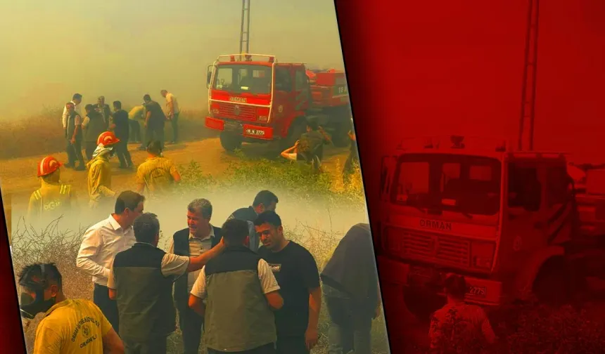 Bursa'da Orman Yangını: Müdahale Sürüyor, Bir İlçeye Elektrik Verilemiyor