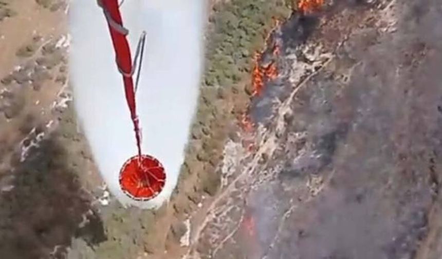 İzmir'de orman yangını paniği: Havadan ve karadan müdahale ediliyor