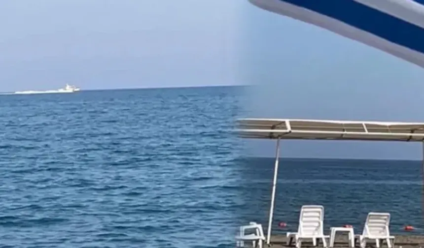 Sahilde köpek balığı alarmı! Plaj boşaltıldı...