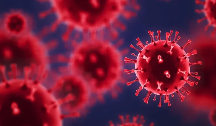 Bilim Dünyasında Çığır Açan Keşif: Prion Benzeri Hastalıklar