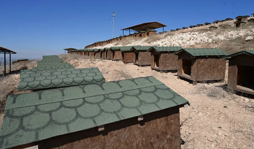 Batman'da 170 dönümlük hayvan bakım evi tepki çekti