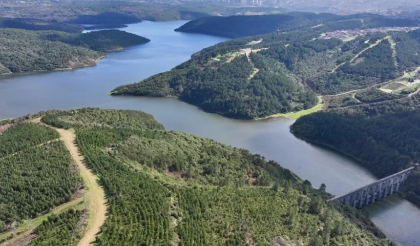 Sular çekildi: İstanbul'un barajlarında alarm