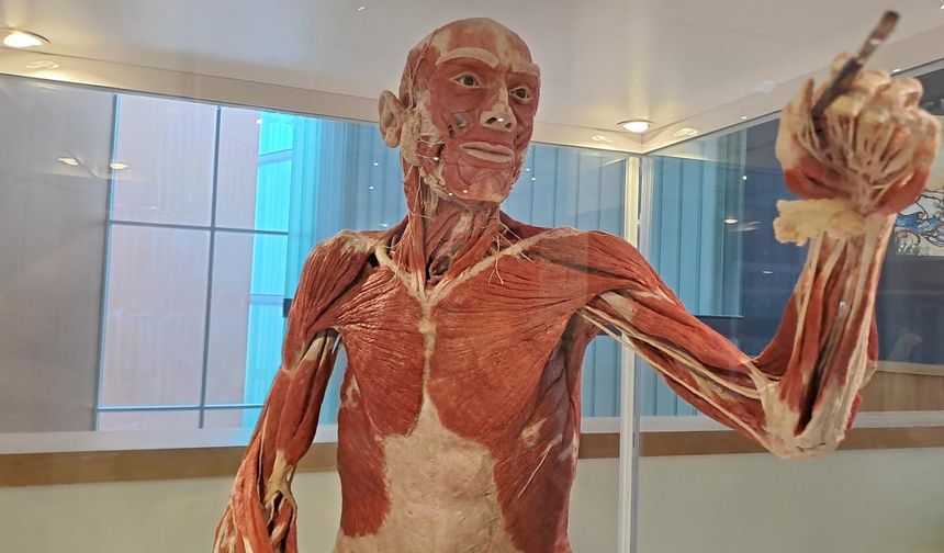 Ankara'da Gerçek İnsan Kadavrası Bulunan Müze