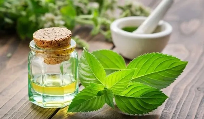 Nane Mucizesi Sindirim Ve Ağız Sağlığını Destekliyor