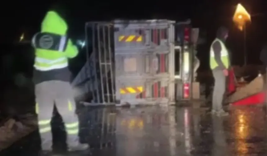 Ankara'da devrilen kamyonda çok sayıda hayvan telef oldu