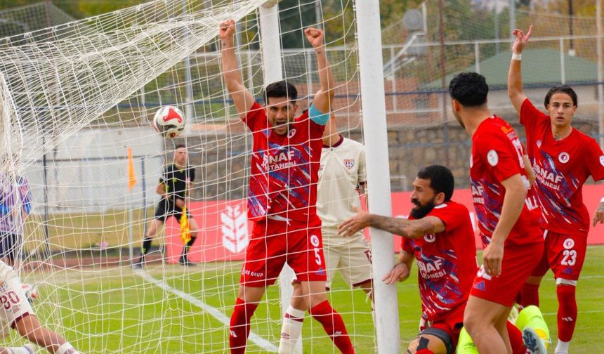 Fethiyespor, Bandırmaspor'u Gol Yağmuruna Tuttu: Skor 4-1