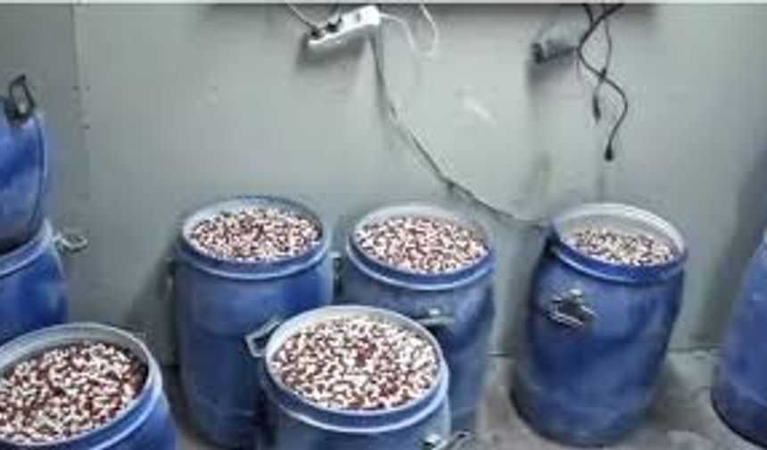 İstanbul Ve İzmir’de 6,9 Milyon Yasaklı Madde Hap Ele Geçirildi