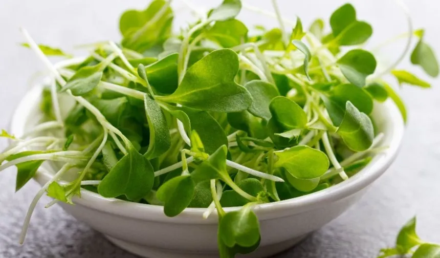 Pazarlama Stratejilerinin Gölgesinde Kalan Gerçek Sağlık Deposu