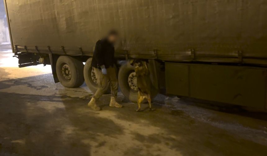 Narkotik Köpeği Mailo TIR’daki 51 Kilo Esrarı Ortaya Çıkardı