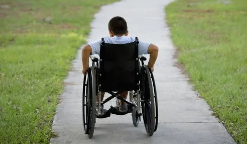 Bilim İnsanları Açıklıyor: Felç Riskini Azaltan Gıdalar