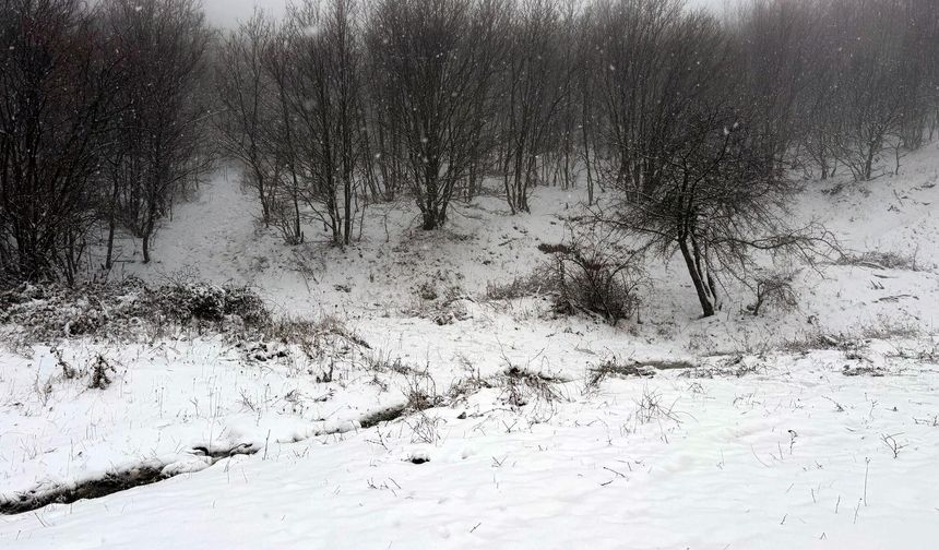 Ganos Dağı’nda Kış Manzarası: Kar Kalınlığı 10 Santimetreyi Buldu