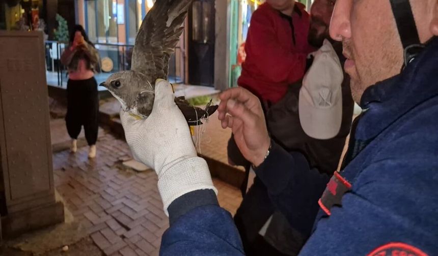 Zonguldak Ereğli'de Ebabil İçin Seferberlik: Yol Trafiğe Kapatıldı