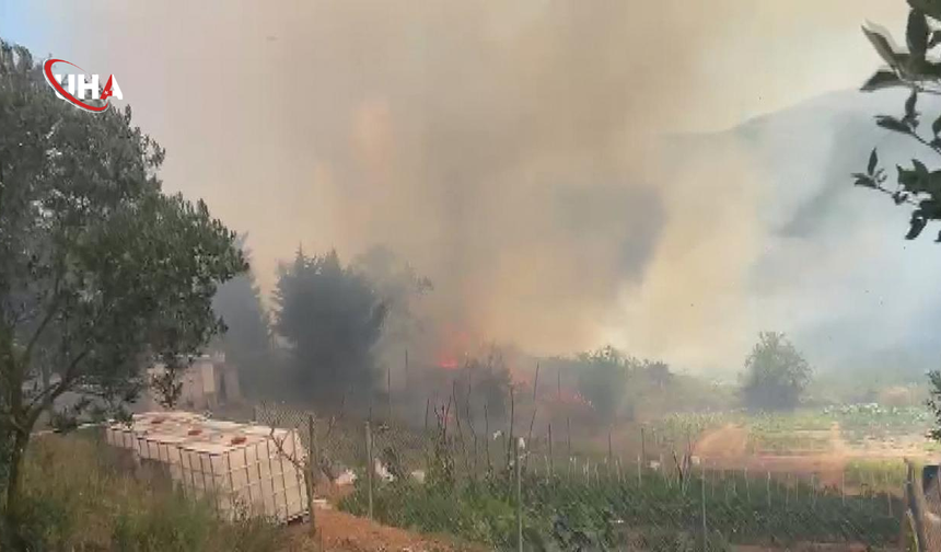 İstanbul Beykoz’da Orman Yangını: Havadan ve Karadan Müdahale Başladı
